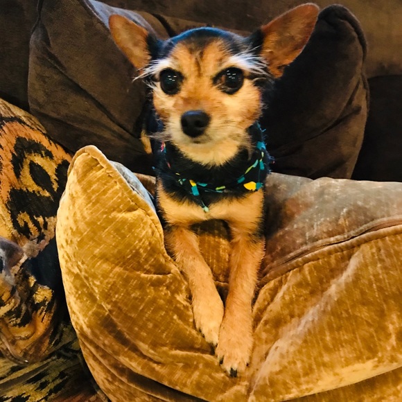 What Lola wants🎁❤️🎁 - Picture 1 of 5